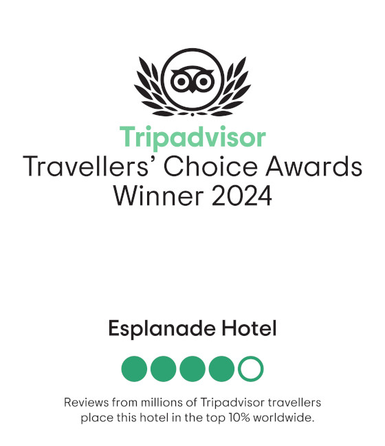 TripAdvisor Travellers' Choice Award Winner